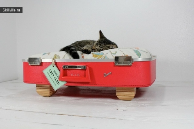дом для кошки из чемодана